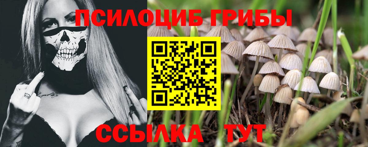 Галлюциногенные грибы Cubensis Красноармейск