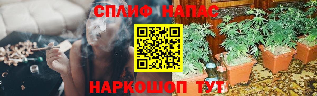Марихуана семена Красноармейск